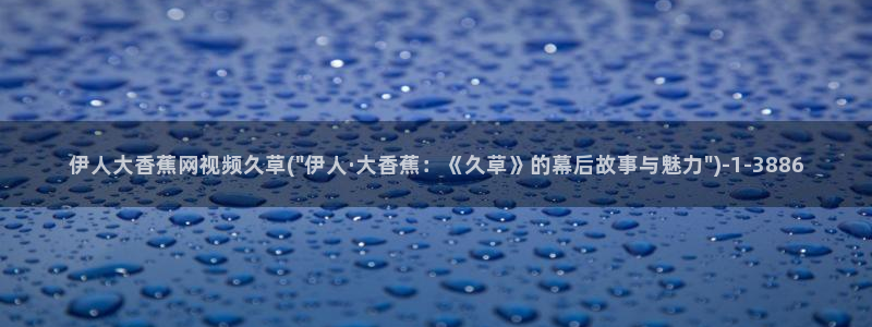 久久av伊人刺激影院