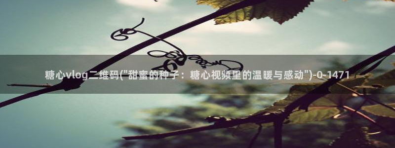 糖心vlog哪里下载：糖心vlog二维码(\