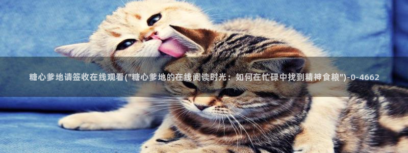 糖心vlog1：糖心爹地请签收在线观看(\