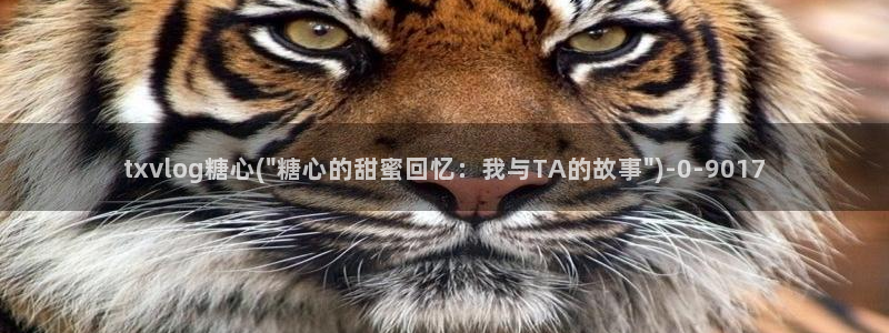 糖心vlog精品一区二区_糖心vlog官网_tx