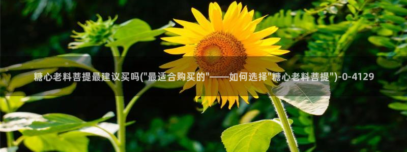 糖心成年版糖心vlog 葫芦：糖心老料菩提最建议买吗