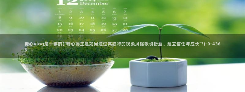 糖心vlog苹果：糖心vlog是干嘛的(\
