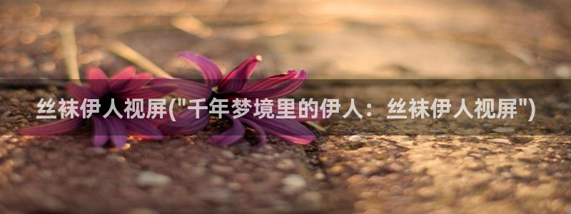 伊人久久大线影院看：丝袜伊人视屏(\