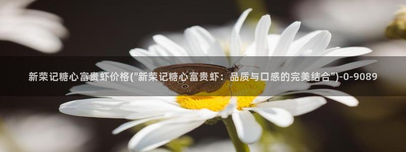 糖心vlog记录：新荣记糖心富贵虾价格(\