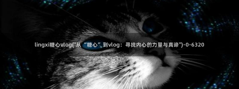 糖心vlog破解版官网下载